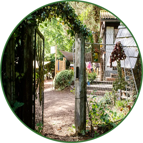 Sitzkreis aus Baumstämmen auf dem Grundstück des Waldkindergartens